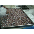 Poultry Gizzard Processing Machine